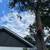 TREE SERVICE , tree service removals 5 thumbnail