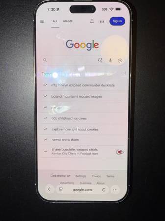 iPhone 16 Pro Max 256GB – Unlocked & Excellent Condition 1