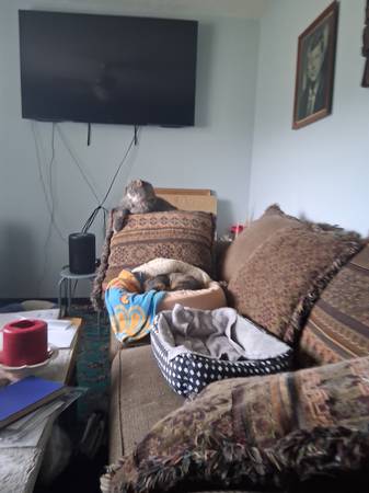 Nice couch 1