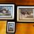 Framed Daniel Smith Waterfowl Conservation Prints and Stamps 1 thumbnail