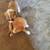 Hi i have 3 Chihuahua mix puppies 2 thumbnail