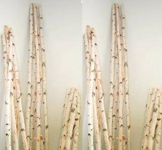 Birch Log Pole 5-foot x 2-inch diameter 1
