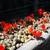 San Pedro Cactus, Succulents, plants, Bird houses, Plant boxes & more 5 thumbnail