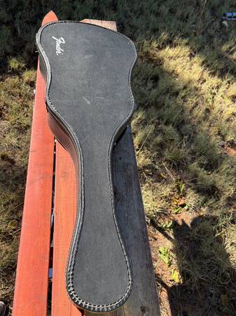 Fender F5 Acoustic Guitar in Fender Case 1