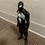 Spider-Man 12-inch Action Figure 3 thumbnail