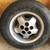 Jaguar XJS XJ6 XJ12 Starfish Wheels with Nexen Tires (set of 5) 6 thumbnail