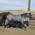 2 yo blue roan filly / Horse 4 thumbnail