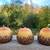 Set of 3 Acorn Wax Candles 1 thumbnail
