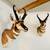Antelope Mounts (Taxidermy) 14 thumbnail