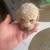 Toy poodle 18 thumbnail