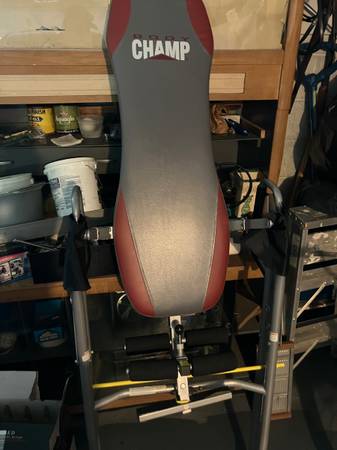 Inversion Table Body CHAMP 1