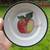 Crate & Barrel Fruit theme 8 1/4" Salad Plate Apple in center 1 thumbnail