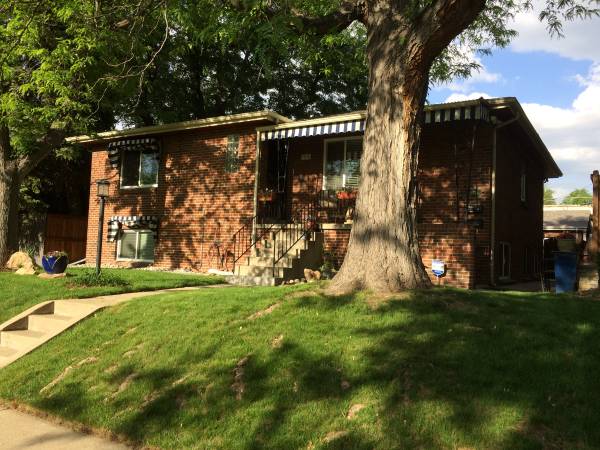 Garden Level Duplex/Washington Park/South Pearl Street 1