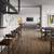 A Must See, Unbeatable Location, Quartz Countertop 7 thumbnail