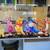 PARTY THEME FOAM BOARD CUT-OUTS 9 thumbnail