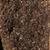Top-Grade Organic Soil for Gardening - Sold per bag - GR8 DEAL!! 2 thumbnail