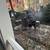 SL landscaping & Tree service 13 thumbnail