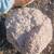 Large Unopened Geode, or Perhaps Thunder Egg -9" Diameter! 8 thumbnail