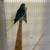 Parrotlet-pair 3 thumbnail