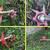 Brand New Universal Weeding Mower Knife Serrated With Six-leaf Blade 2 thumbnail