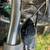 Diamondback Apex Hybrid Bike 6 thumbnail