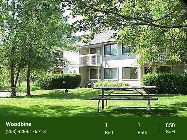 $1,510 / 1hab - 850ft2 - Lavavajillas, 1 o 2 hab, Piscina reluciente, Cancha deportiva64003313909379120