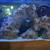 Aquarium 4 thumbnail