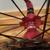 Road Bike Rear Wheel With Novatec F372SB Hub 10 Speed SunRace Cassette 5 thumbnail
