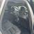 2018 Volvo XC60 T6 Momentum AWD. Loaded with options! 9 thumbnail