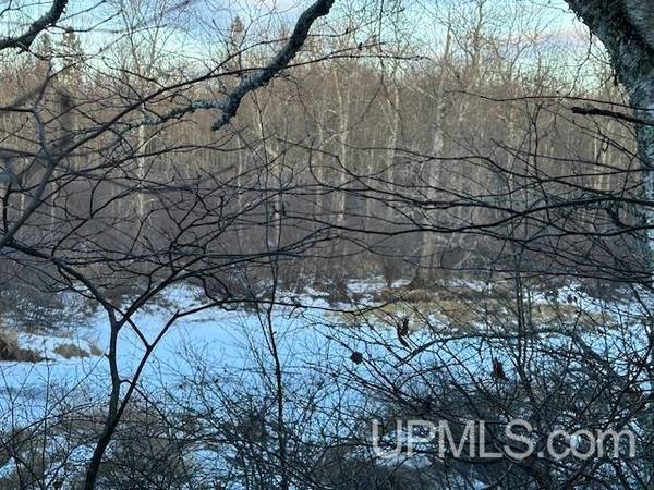 $50,000 .80 acres Popple River frontage MLS 50164491 (Florence)64151609092099122