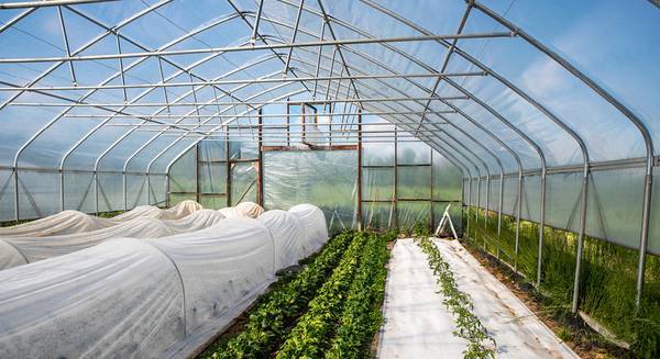 Heavy-Duty Gothic Greenhouses - $999 (berkeley)63471459246977121