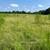 Pasture to cut for hay 3 thumbnail