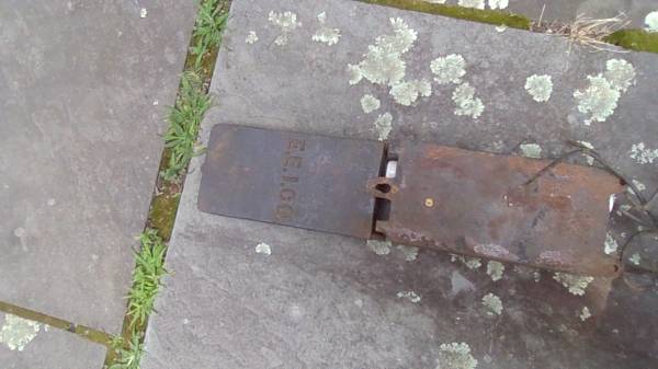Rare Antique Electric Fuse Box E.E.I.CO - $15 (Newton Lower Falls)63437673919105121
