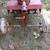 Walk behind Gravely with Attachments 18 thumbnail