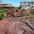 STUMP GRINDING & Surface Roots Removal by Brad Frederick's LLC 12 thumbnail