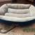 Dog Bed 2 thumbnail