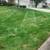 LANDSCAPING ,STUMP GRINDING, MULCH (INSURED) 7 thumbnail