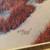Richard Luce American Indian Hand Signed & Numbered Framed Print 2 thumbnail