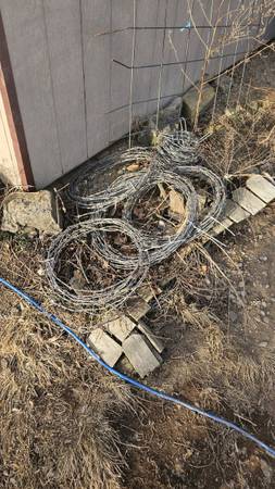 Barbed wire 1