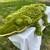 Vintage Large Plush Toy Alligator Reptile 1 thumbnail