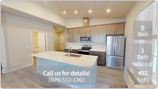 $1,470 / 492ft2 - ¡Ubicación ideal! ¡Cerca de todo! ¡Estudio! ¡492 pies cuadrados! (Leavenworth)63828063768961120