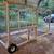 Chicken coop/tractor 2 thumbnail