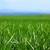 🌿 Water-Free Grass! Heavy-Duty Turf! ALL GREEN TURF ROLLS! 5 thumbnail