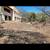 🌳Tree Service Cactus Service Brush clearing, 520 304 3677 7 thumbnail
