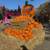 Free Pumpkins and Display Straw Bales 1 thumbnail