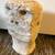 Abstract Sandstone 10” Bust Unique Sand stone head 2 thumbnail