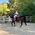 Gorgeous Black Quarter Horse for Sale 3 thumbnail