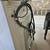 Kenmore Elite Washer With Laundry Pedestal 5 thumbnail