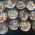 12 BRADFORD EXCHANGE CAT PLATES 1 thumbnail