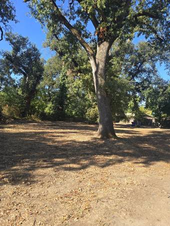 $67,000 ¡Casi 1/2 acre de terreno en un vecindario maravilloso! (Redding)64151588546049120